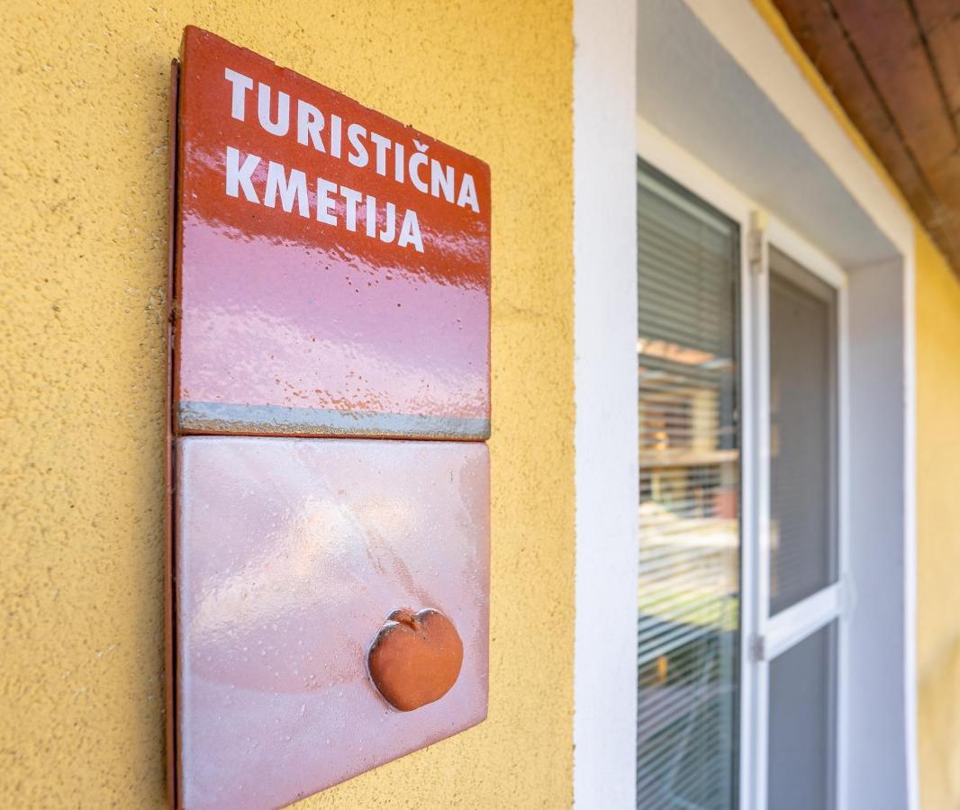 Fortun Estate - Apartmaji Ob Reki Kolpi Metlika Exteriör bild
